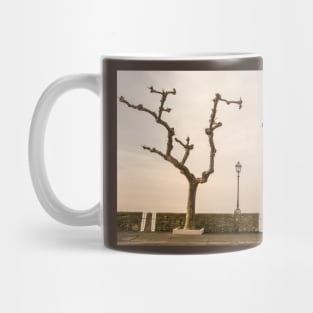 Torri del Benaco Waterfront Mug